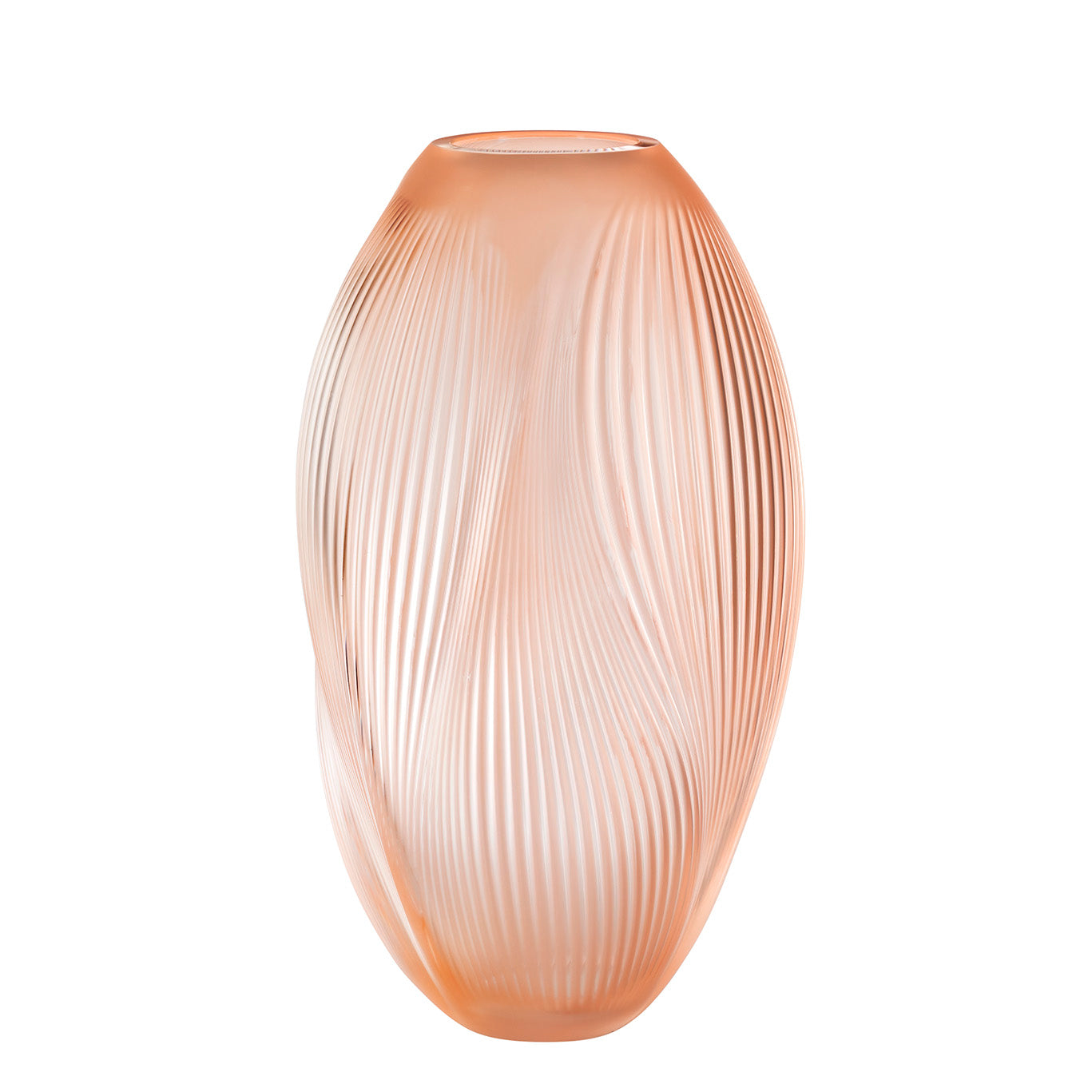 アリゼ ベース XXL