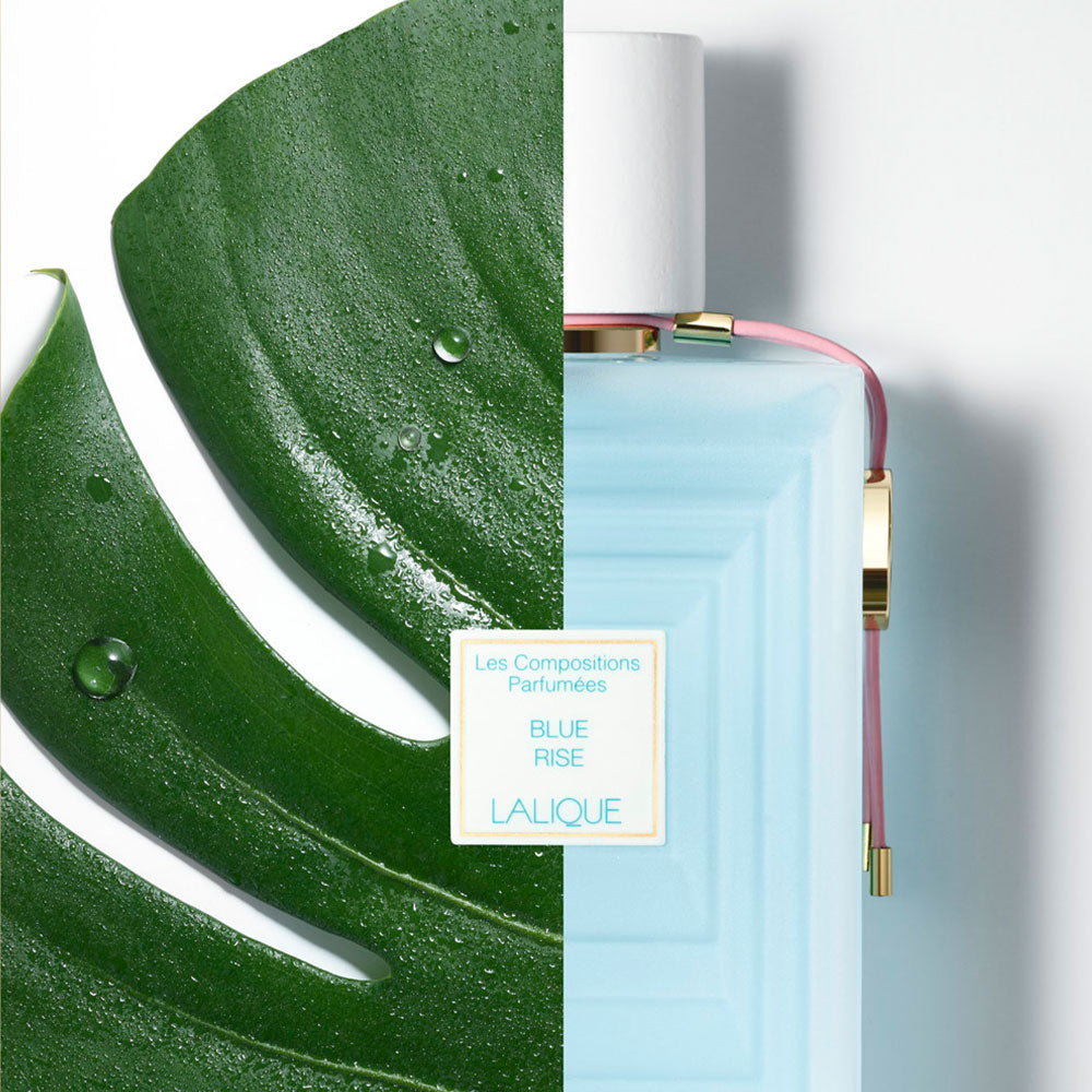 コンポジション パルフュメ ブルーライズ オードパルファム