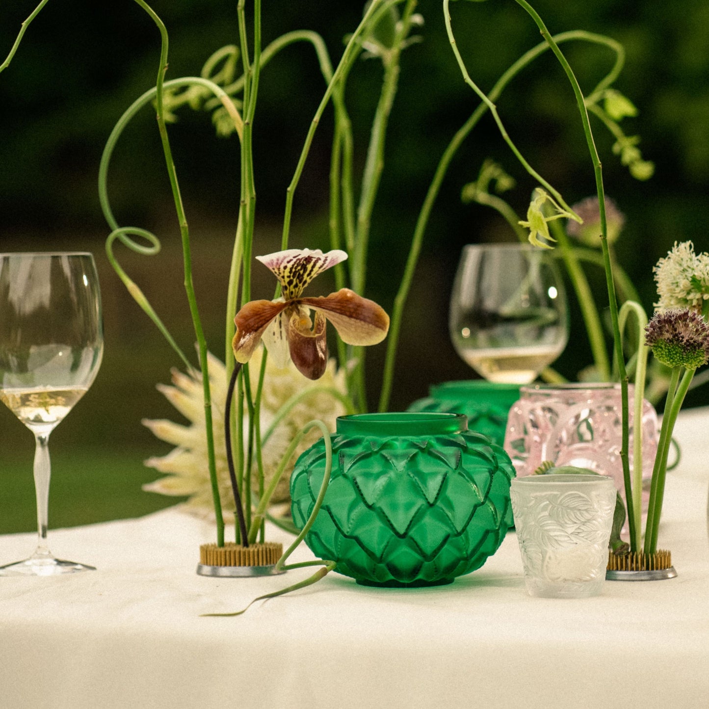 ラングドック ベース