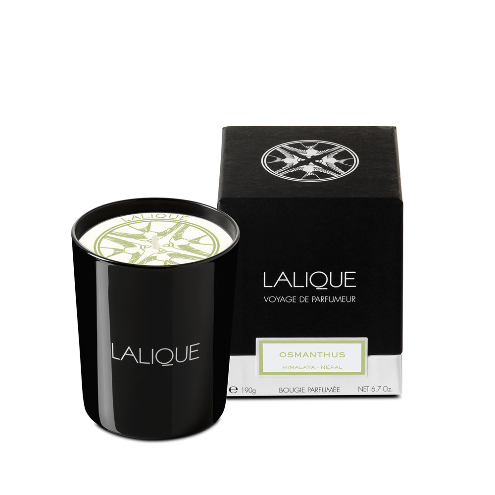 lalique ラリック　ルームディフューザー　フィグ　ルームフレグランス Amazon.co.jp: ラリック ルームディフューザー フィグ 250mL