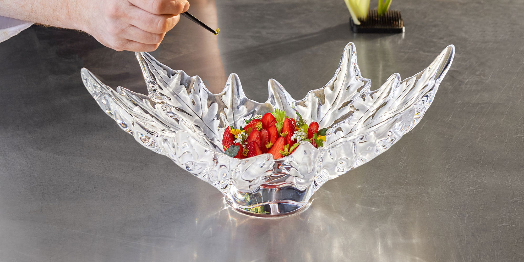 Lalique-Crystal-Collection-