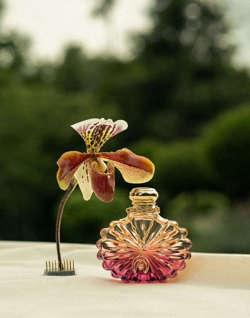 ラリック サマー – Lalique Japan