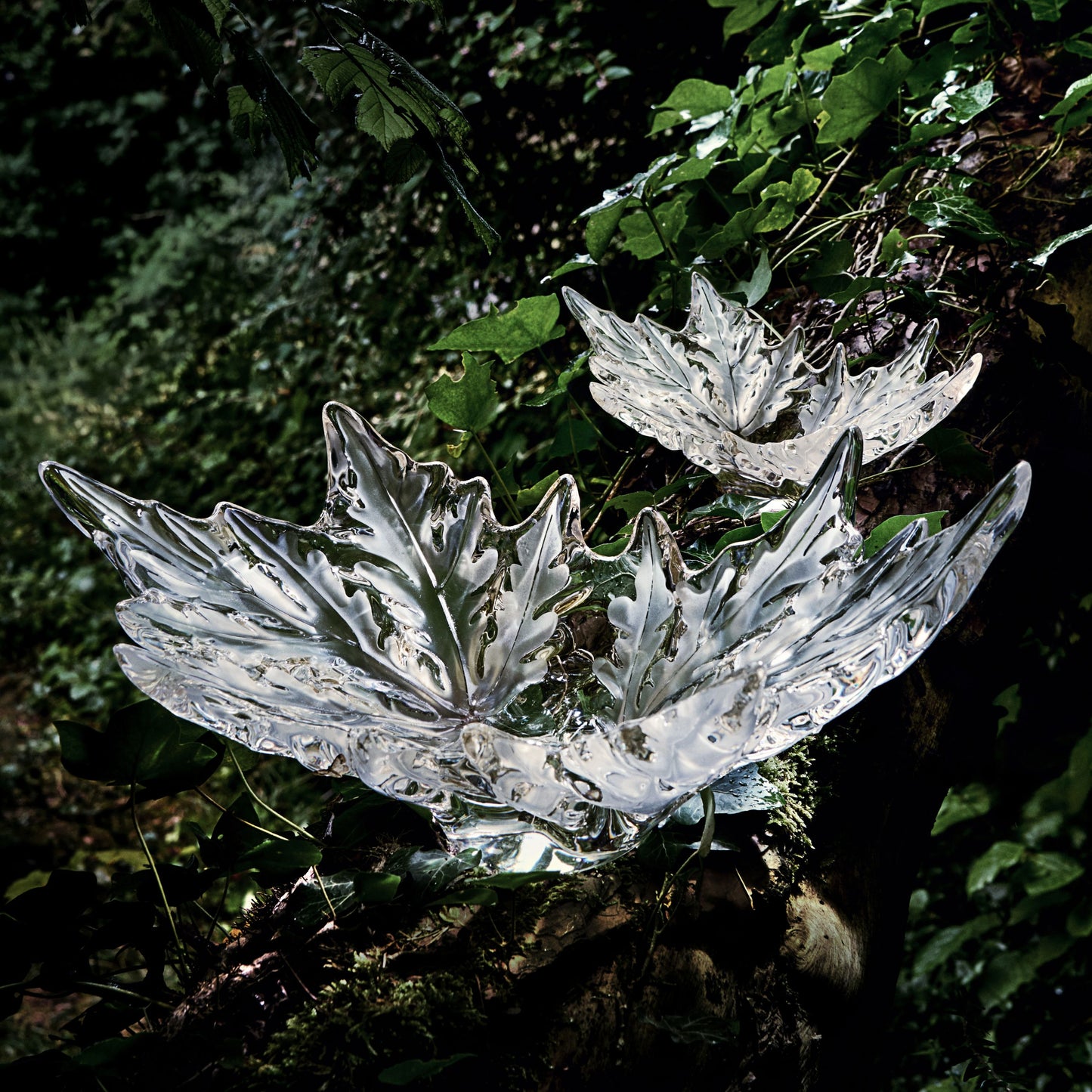 ボウル シャンゼリゼ スモール