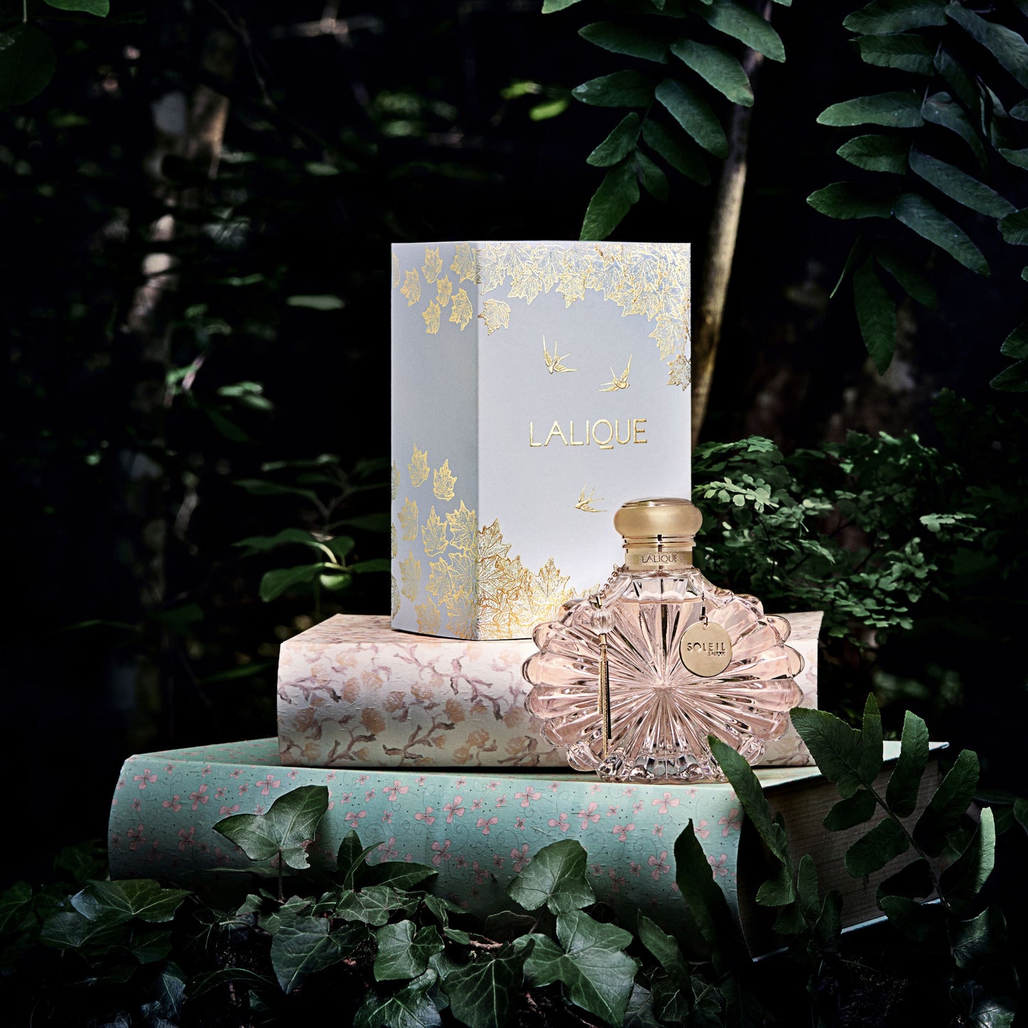 ソレイユ ラリック コフレ 2025