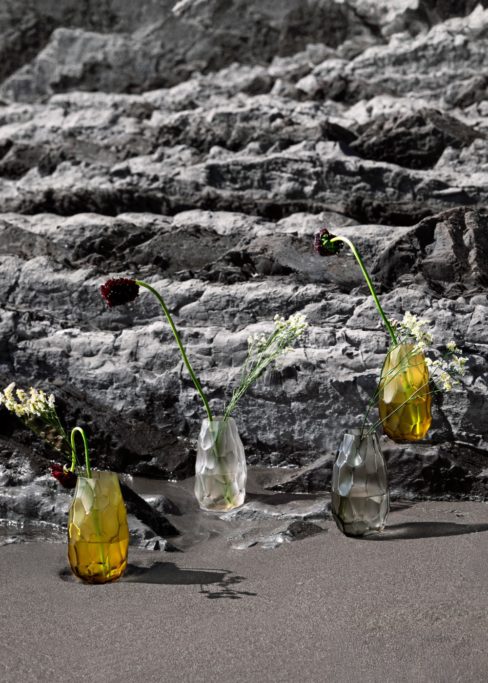 R.LALIQUE ルネ・ラリック オパールセント コキーユ COQUILLE プレート