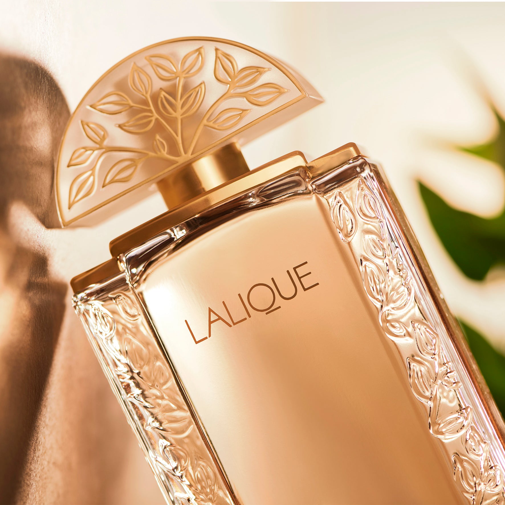 フレグランス – Lalique Japan