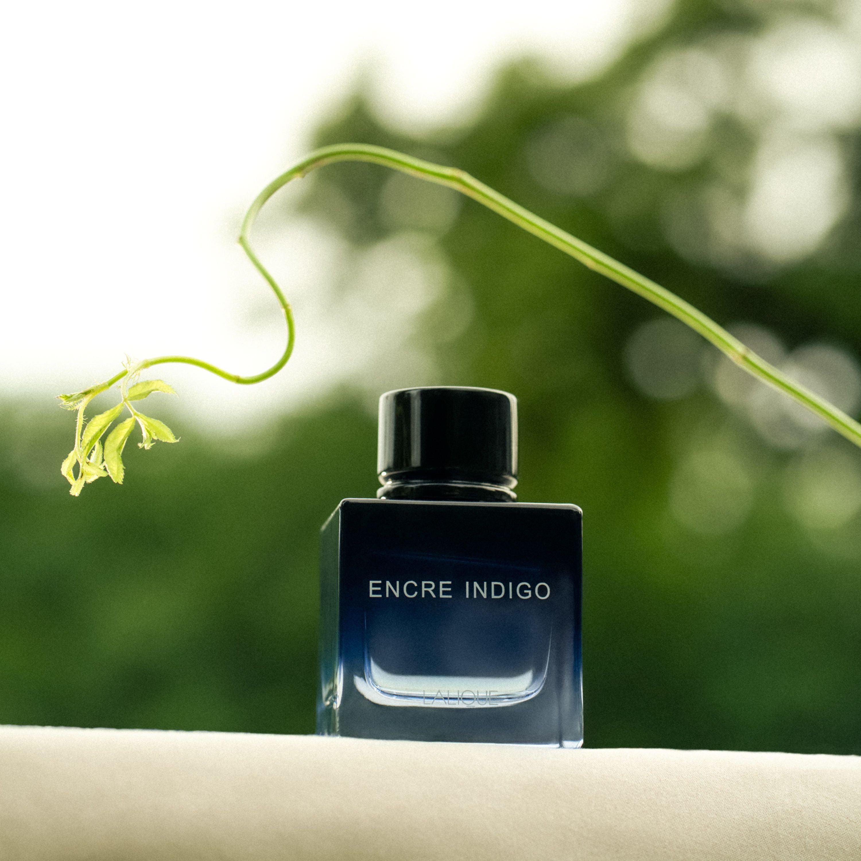 アンクル インディゴ オードパルファム – Lalique Japan