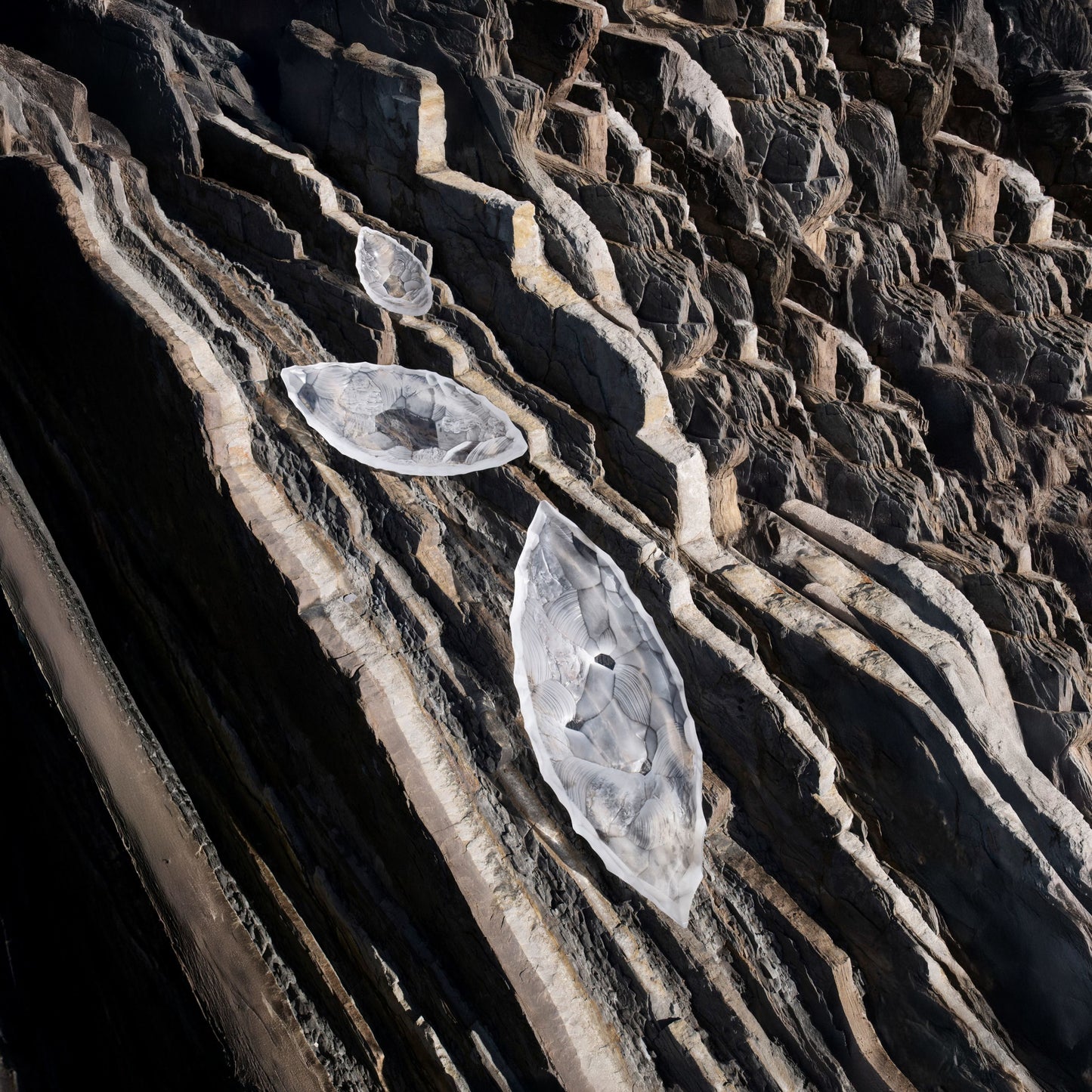 シレックス ボウル ラージ