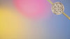 13398.mp4